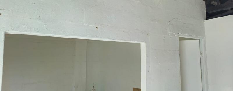 To Let commercial Property for Rent in Elsies River Industrial Western Cape